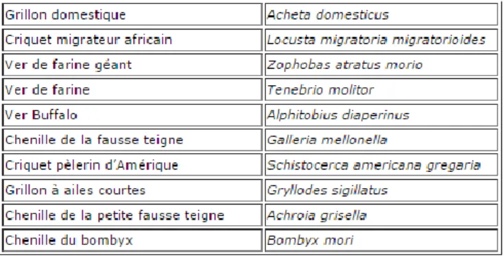 Tableau 1- Liste des insectes autorisés en Belgique  