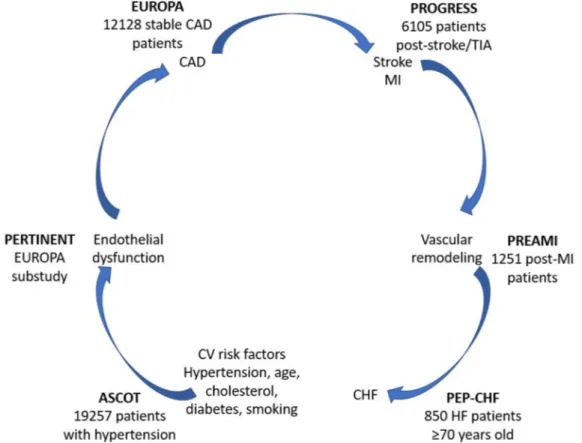 Fig. 4 Clinical trials investigating the effects of perindopril on morbidity and mortality have provided evidence of benefits throughout the cardiovascular disease continuum