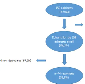 Figure 4 : Schéma de l’étude 