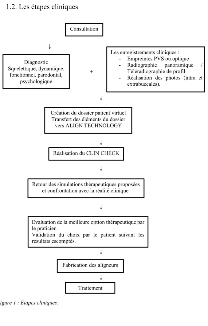 Figure 1 : Etapes cliniques. 