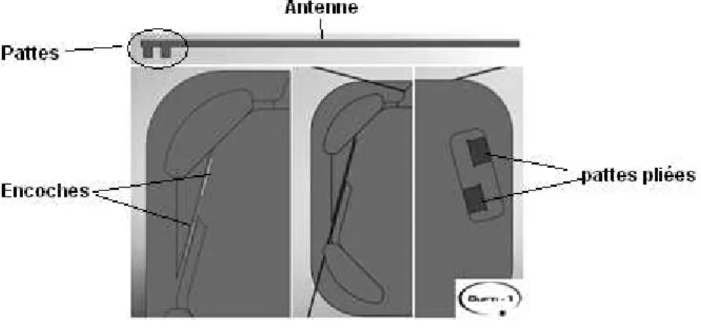 Figure 12 : Assemblage des antennes 
