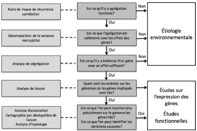 Figure 1.7 Procédure d’une étude d’épidémiologie génétique adaptée de (Burton 2008). 