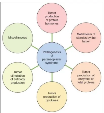 Figure issue de la référence 34 illustrant les mécanismes potentiels mis en jeu par la tumeur  dans le déclenchement d’un syndrome paranéoplasique