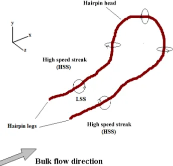 Fig 2.3 Schematic of a hairpin structure in the near wall-region  