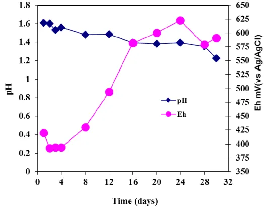 Figure 3: pH-redox potential profile 