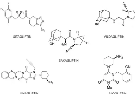 Figure 1 : Chemical structures of DPP-4 inhibitors   242x172mm (150 x 150 DPI)  2345678910111213141516171819202122232425262728293031 32 33 34 35 36 37 38 39 40 41 42 43 44 45 46 47 48 49 50 51 52 53 54 55 56 57 58