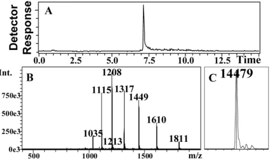 Figure 2. Gel filtration elution profiles of CquiOBP1. (A) Monomeric and (B) dimeric form of CquiOBP1
