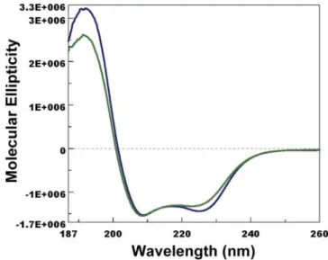 Figure 6. Far-UV circular dichroism spectra of CquiOBP1 at pH 6.5 (blue) and pH 5 (green)