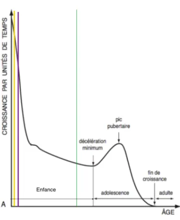 Figure 9 (Björk, 1972, modifiée) : Courbe de croissance staturale 