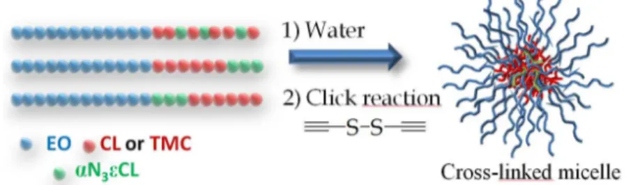 Figure 1. Developed strategy for the synthesis of reversibly cross-linked micelle by CuAAC