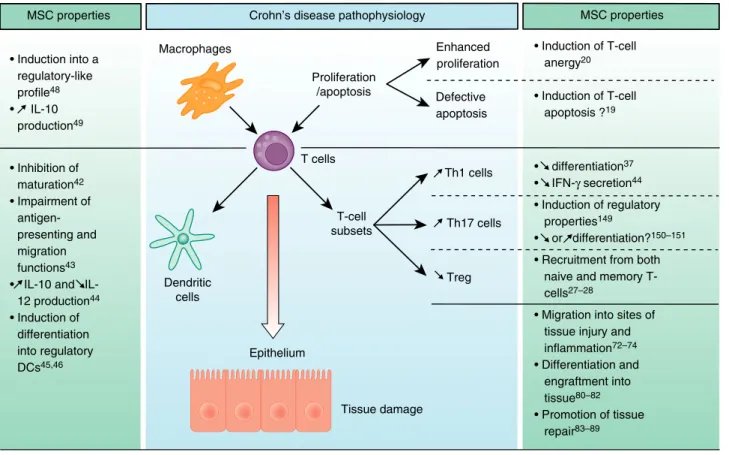 Figure 1 | Potential therapeutic effects of mesenchymal stromal cell in Crohn ’ s disease.