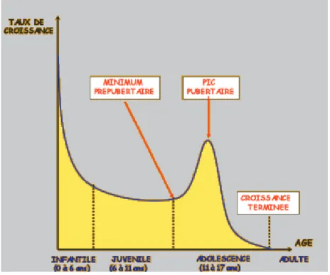 Figure 7 : Courbe moyenne du taux de croissance staturale d’après BJORK (36). 