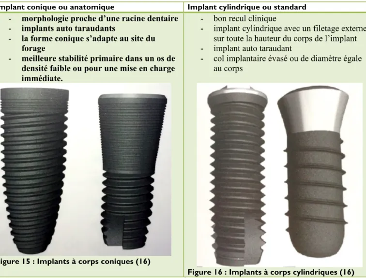 Figure 15 : Implants à corps coniques (16) 
