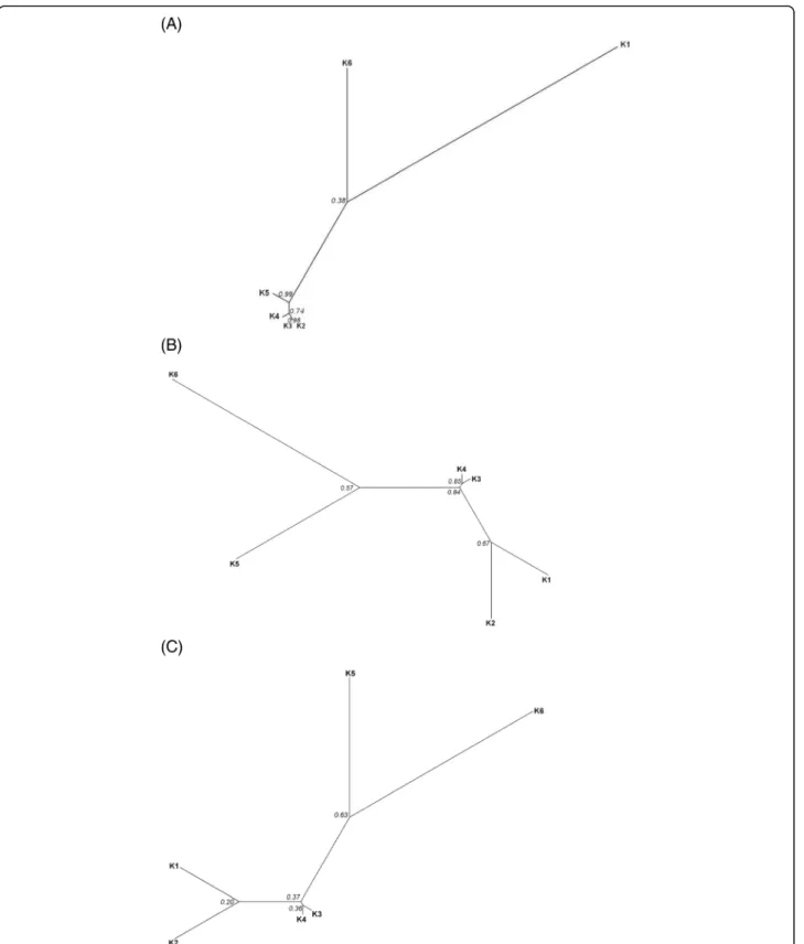 Fig. 5 Phylogenetic trees from Milicia genetic clusters. The trees were constructed from At103 sequences (a), genetic distances D S based on nuclear microsatellite genotypes (b) and SNPs dataset (c) considering the genetic clusters (K1 to K6)