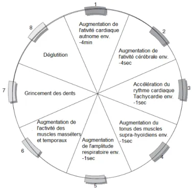 Figure 6 : La « roue » de la pathophysiologie du bruxisme (d’après Lavigne et coll.  [17] )