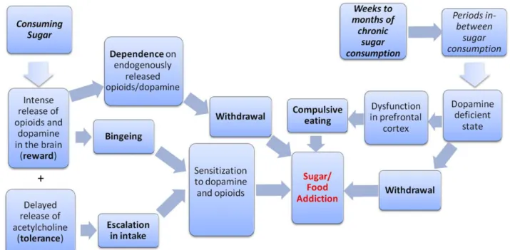 Figure 3 : Schématisation de l’addiction au sucre (27)  