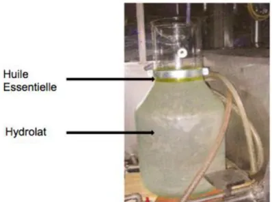 Figure 3 : essencier 
