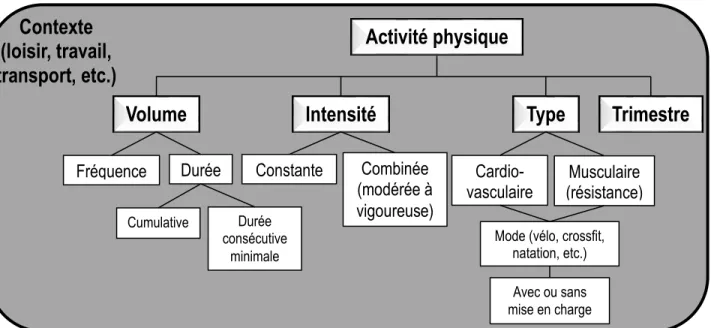 Figure 1. Schématisation des paramètres permettant de caractériser l’activité physique chez la femme  enceinte (Adapté de (ACSM 2009b)) 