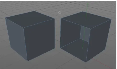 Figure 9. Illustration d'un retrait de face sur un volume dans un logiciel de conception 3D surfacique (Maxon cinema 4D®)