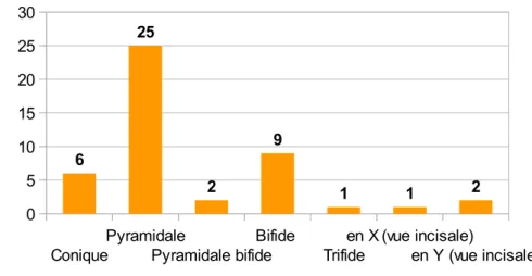 Fig 13. Distribution des types de morphologies externes relevées dans la revue de littérature