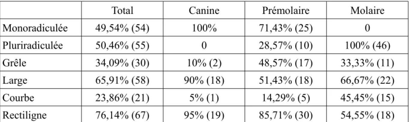 Tableau 11 : distribution de la morphologie radiculaire selon le type de dent