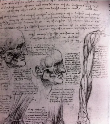 Figure n°5     : Dessin annoté de Léonard de Vinci (1452-1519)  extrait de « L'art dentaire à travers la peinture », ACR édition, 1986, page 74
