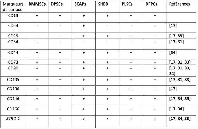 Tableau 1: Principaux marqueurs de surface présents chez les BMMSCs et les DSCs. 