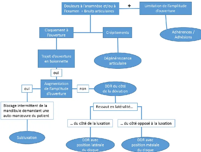 Figure 11 : arbre décisionnel 3 : Douleurs et bruits articulaires 