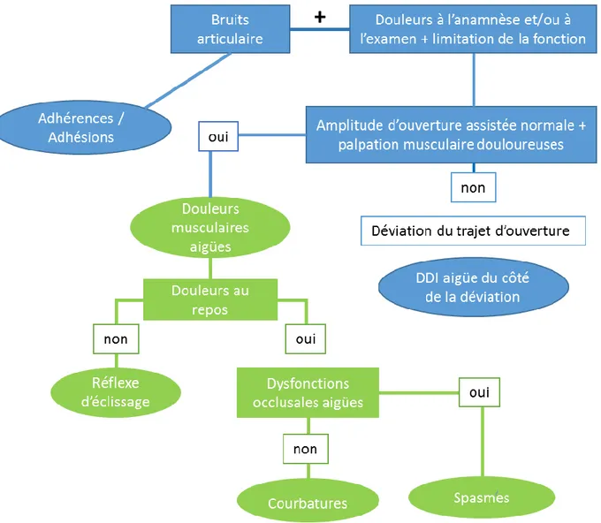 Figure 12 : arbre décisionnel 4 : Douleurs et limitation de la fonction 