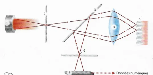Figure  11 :  Schéma  du  principe  de  la  méthode  d’imagerie  confocale.  La  source  lumineuse  laser  (1)  passe  par  un  premier  sténopé  dans  le  polariseur  (2)