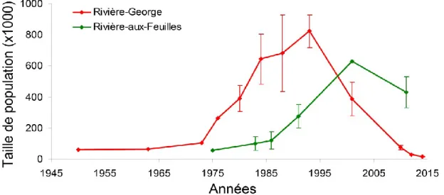 Figure 1.2. Variations des effectifs des  troupeaux Rivière-George et  Rivière-aux-Feuilles  depuis  1950