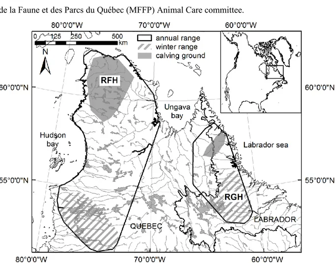 Figure  3.1.  Annual  ranges,  winter  ranges  (striped  areas)  and  calving  grounds  (shaded  areas)  of  the  Rivière-George  (RGH)  and  Rivière-aux-Feuilles  (RFH)  migratory  caribou  herds,  located  in  northern  Québec  and  Labrador