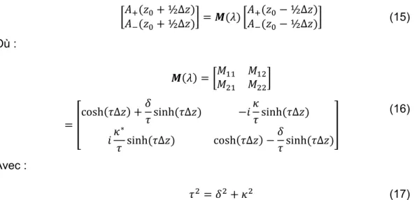 Figure 4 : Vue de dessus des réseaux de Bragg à multi-cavités. 