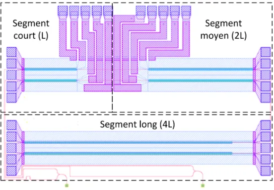 Figure 18 : Dessin utilisé pour la fabrication du MZM aux électrodes doubles en parallèle  segmentées