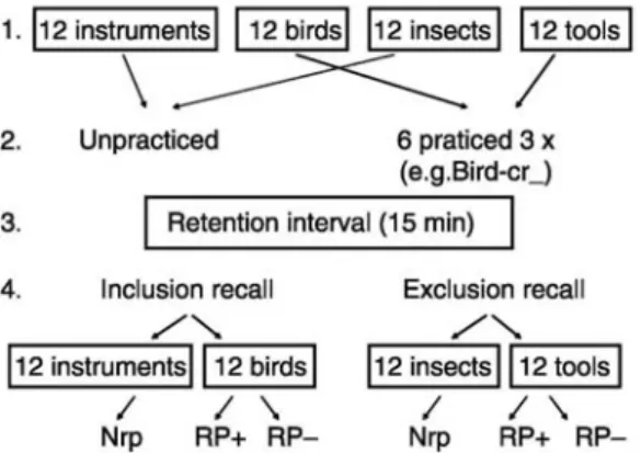 Figure I: A schematic description of our adaptation of the retrieval-induced forgetting paradigm