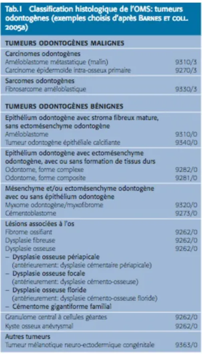 Figure 1 : Classification histologique de l'OMS des tumeurs odontogènes 