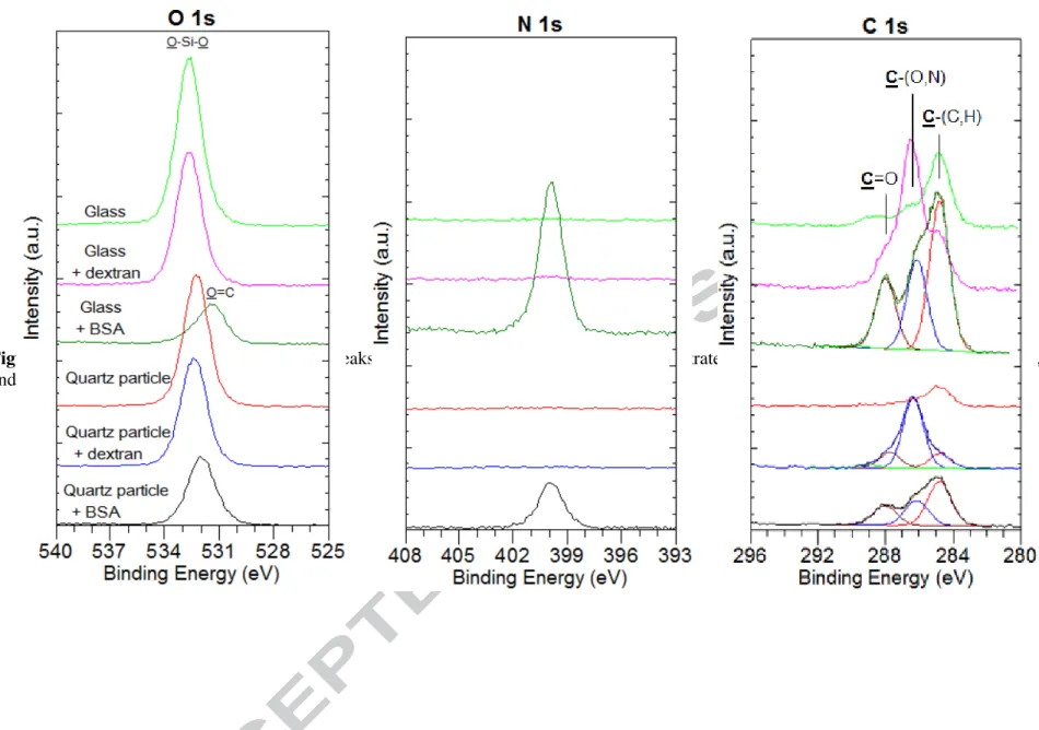 Figure 4. Representative O 1s, N 1s and C 1s peaks recorded on quartz powder and glass substrate, conditioned or not with dextran and BSA,  and illustration of C 1s peak decomposition