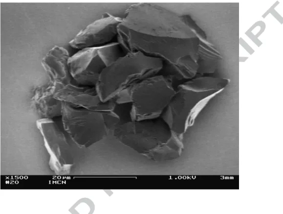 Figure 7. SEM micrograph (in-lens detector; scale bar 20µm) recorded on an  aggregate present on polystyrene conditioned with dextran and soiled with a  suspension of quartz particles in dextran solution
