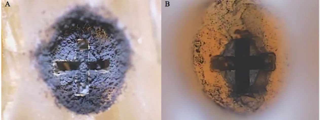 Figure 15 : Poussière accumulée lors de l’usinage laser avant et après rinçage sous loupe  binoculaire 5X