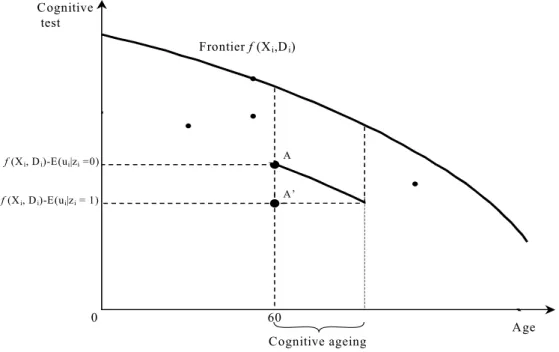 Figure 5. The computation of the cognitive ageing due to the effect of the z-variables 
