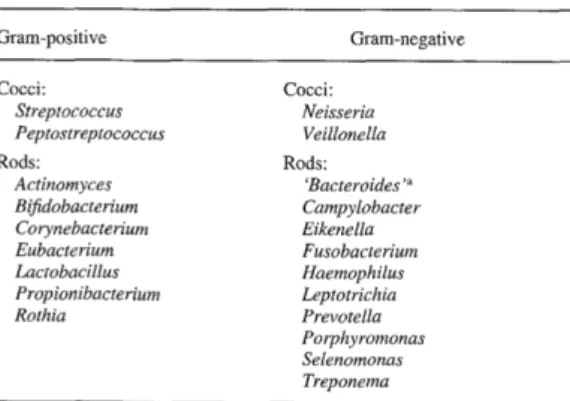 Tableau 1 : Différents genres de bactéries trouvés dans la plaque dentaire  (4)