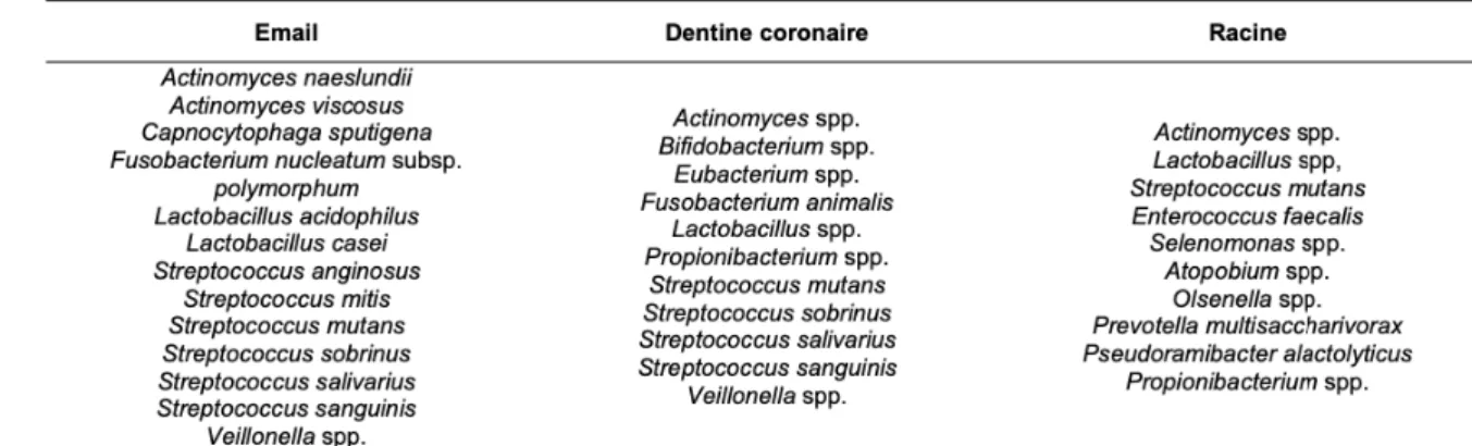 Tableau 2 : Bactéries de la flore cariogène (9) 