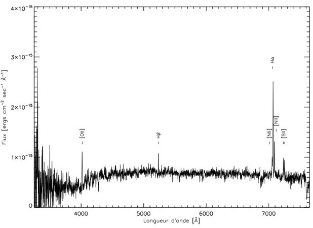 Figure 3.2 – Spectre de la galaxie inconnue (région R4). Le spectre est corrigé pour l’extinction intrinsèque de la Voie lactée.