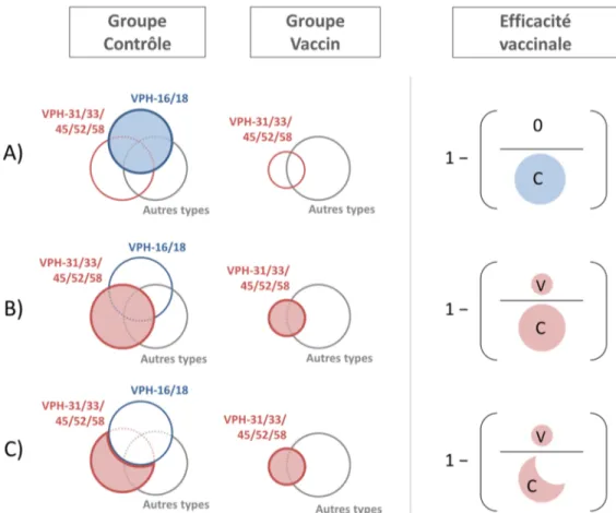 Figure 1-2. Distribution des types de VPH détectés dans les CIN lors des essais cliniques et efficacité vaccinale estimée