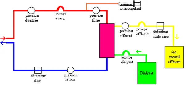 Figure 9 : Le circuit d'hémodialyse 