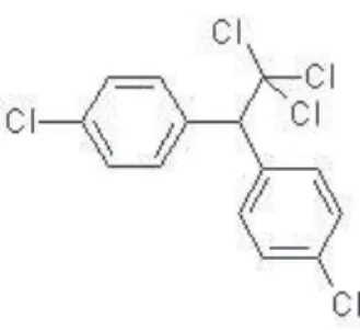 Figure 12 : Structure chimique du D.D.T. 