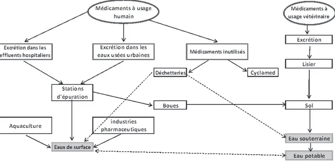 Figure 2 - Contamination des milieux hydriques par les médicaments 