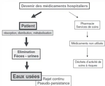 Figure 3 - Le devenir des médicaments hospitaliers 