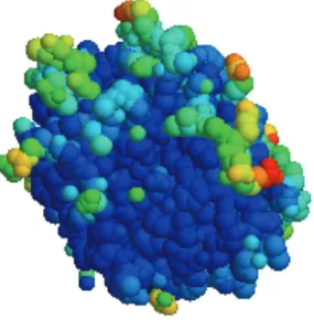 Figure 3 : élastase 