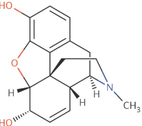 Figure 1: structure de la morphine 